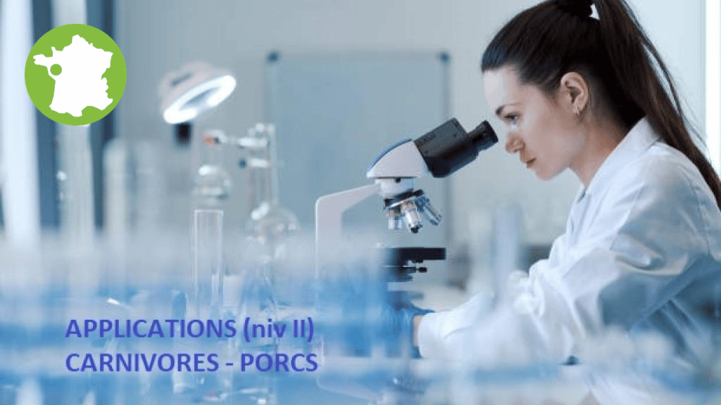 Bannière visuelle de présentation de la formation