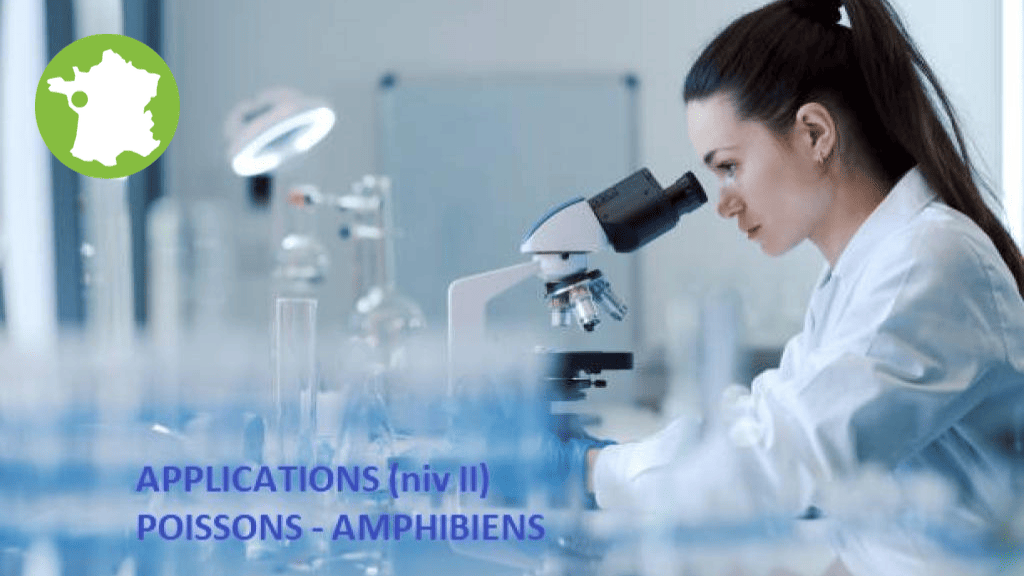 Bannière visuelle de présentation de la formation