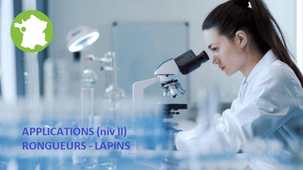 Bannière visuelle de présentation de la formation