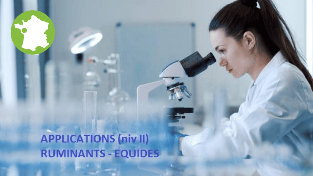 Bannière visuelle de présentation de la formation