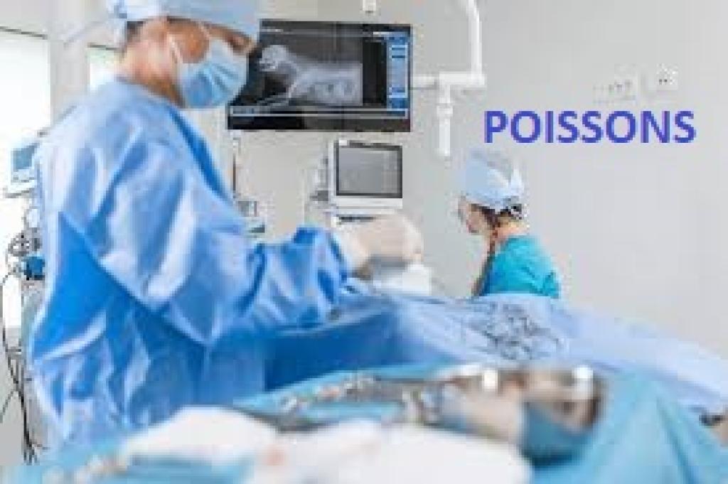 Bannière visuelle de présentation de la formation