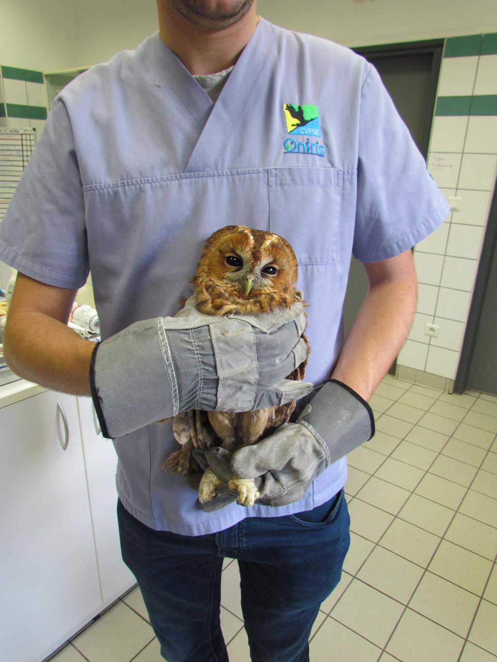 Bannière visuelle de présentation de la formation