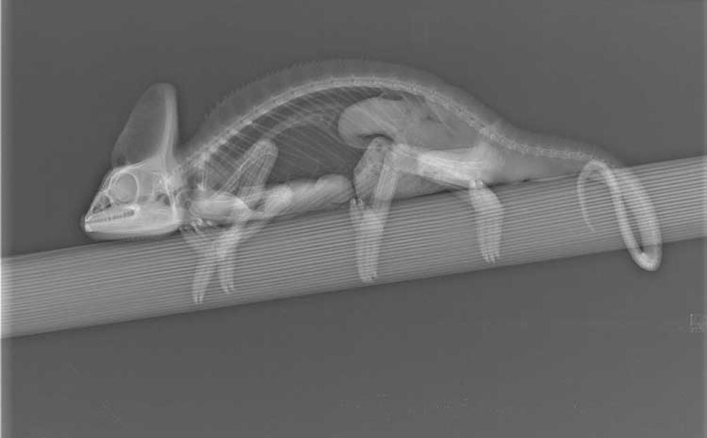 Bannière visuelle de présentation de la formation