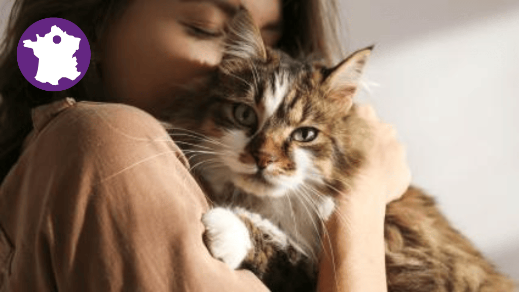 Bannière visuelle de présentation de la formation