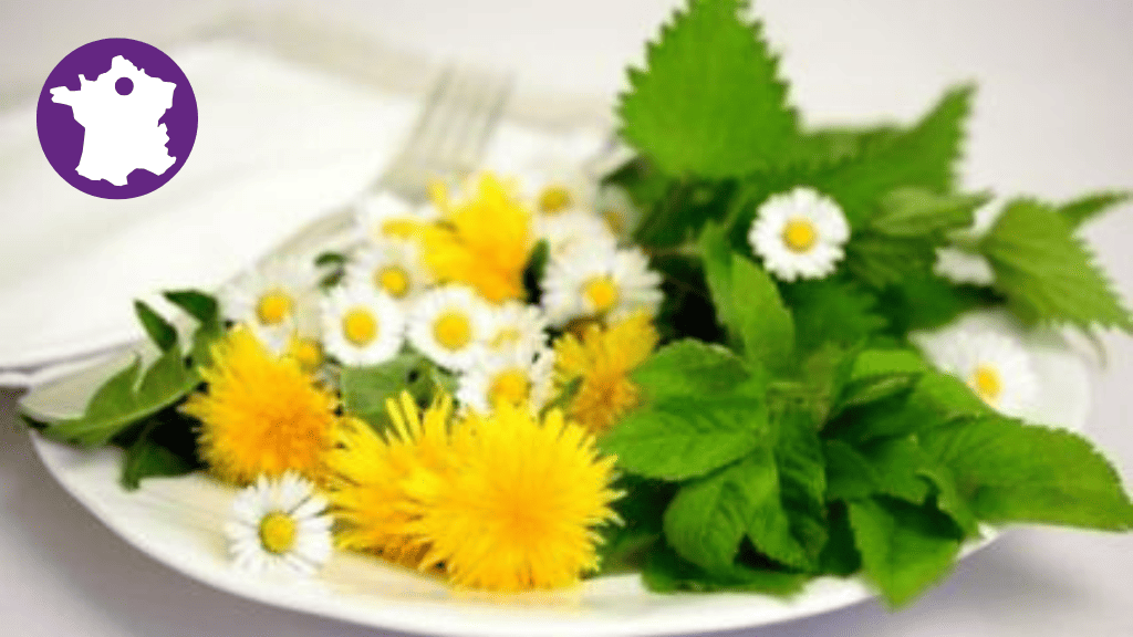 Bannière visuelle de présentation de la formation