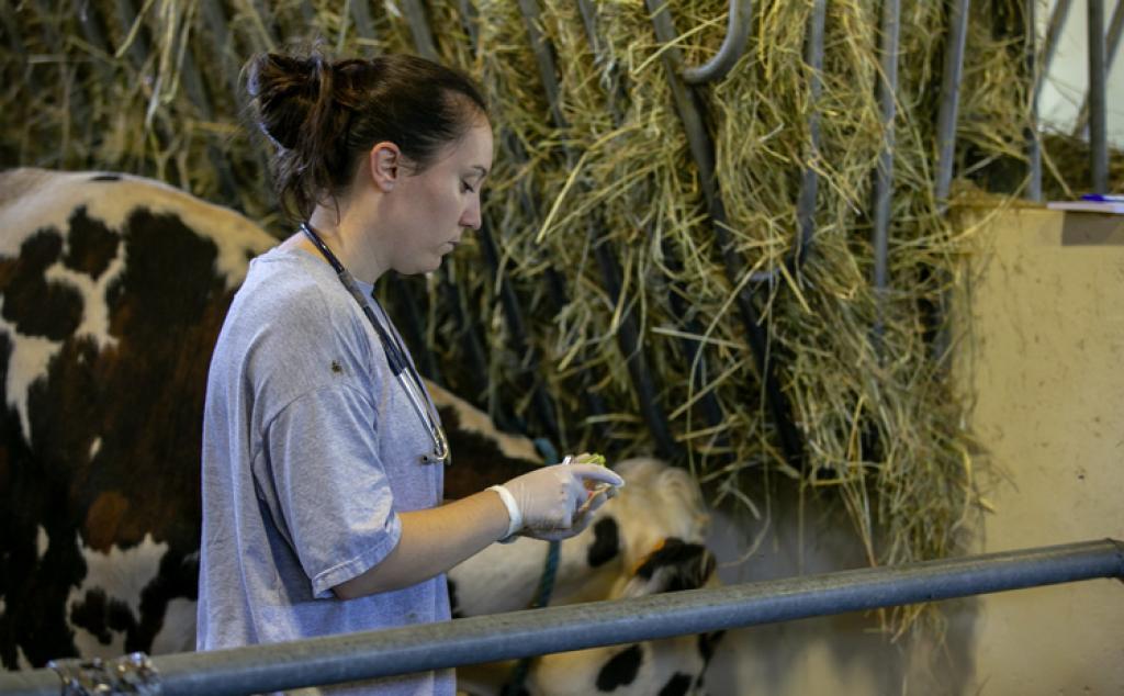 Bannière visuelle de présentation de la formation