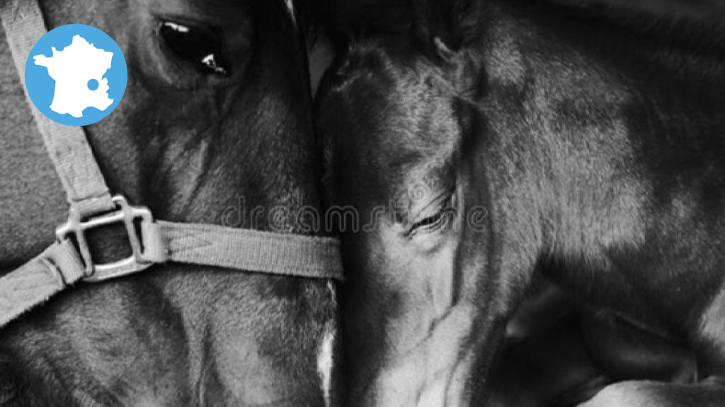 Bannière visuelle de présentation de la formation