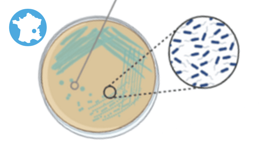 Bannière visuelle de présentation de la formation
