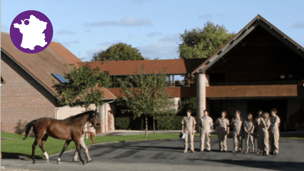 Bannière visuelle de présentation de la formation