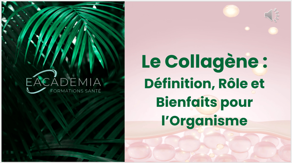 Bannière visuelle de présentation de la formation