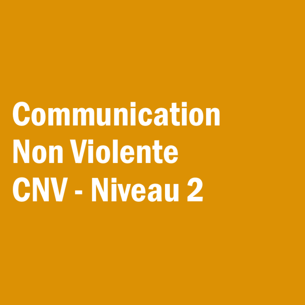 Bannière visuelle de présentation de la formation