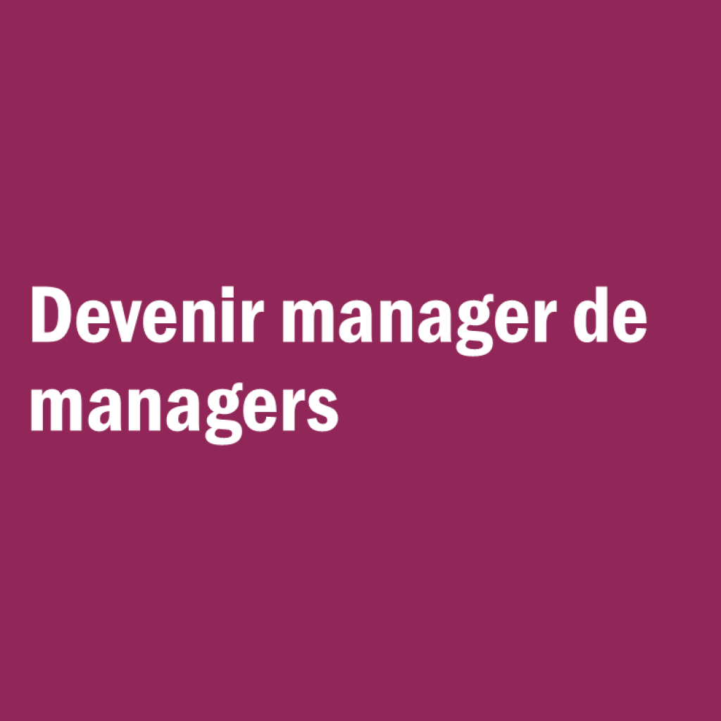Bannière visuelle de présentation de la formation