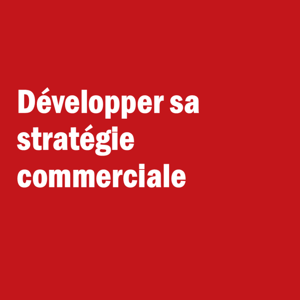 Bannière visuelle de présentation de la formation