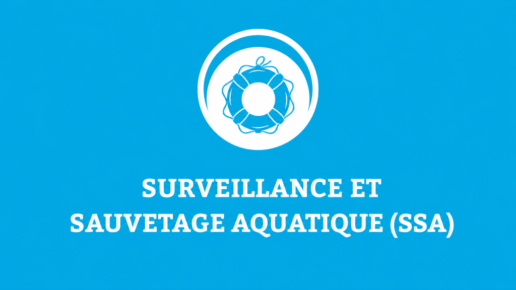 Bannière visuelle de présentation de la formation