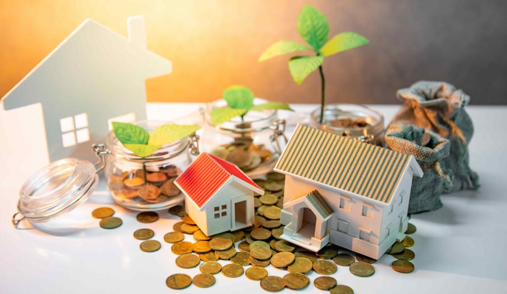 Bannière visuelle de présentation de la formation