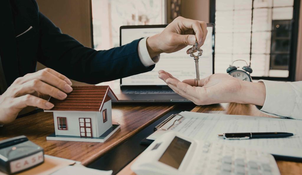 Bannière visuelle de présentation de la formation