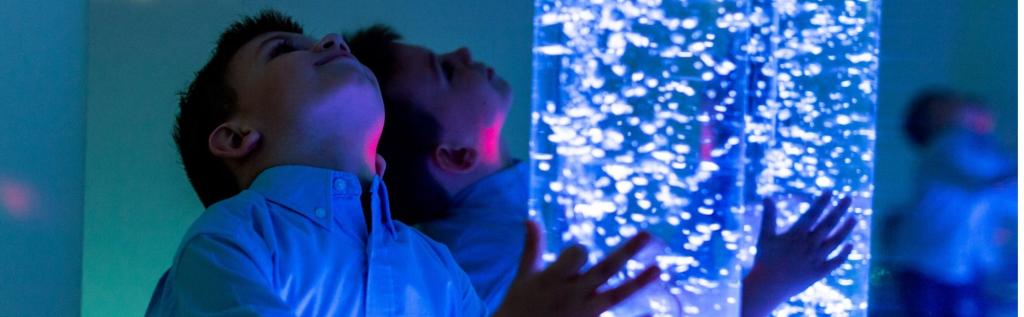 Bannière visuelle de présentation de la formation