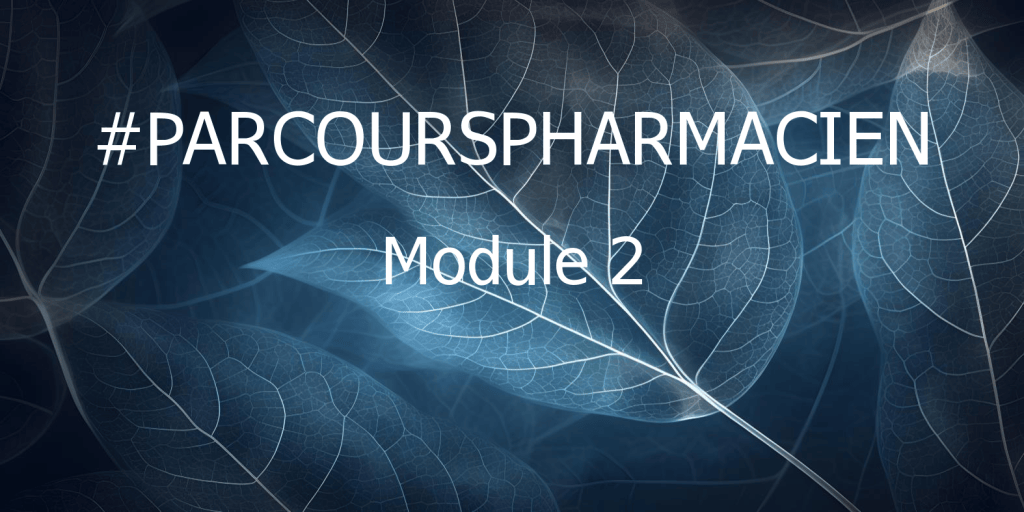 Bannière visuelle de présentation de la formation