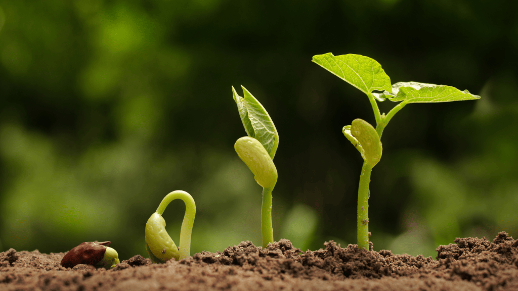 Bannière visuelle de présentation de la formation