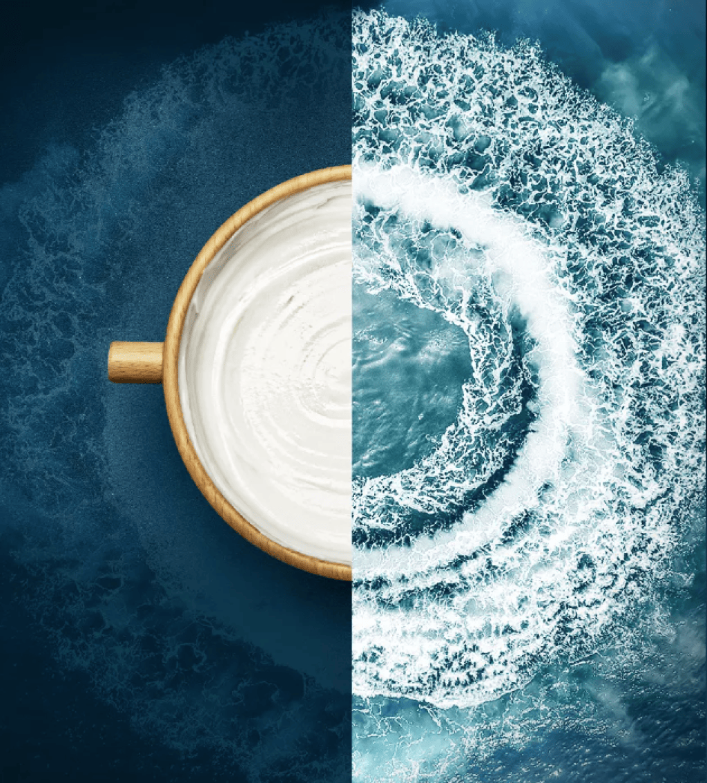 Bannière visuelle de présentation de la formation