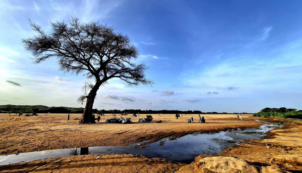 Bannière visuelle de présentation de la formation