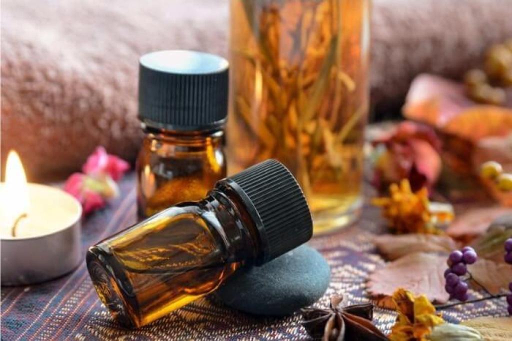 Bannière visuelle de présentation de la formation