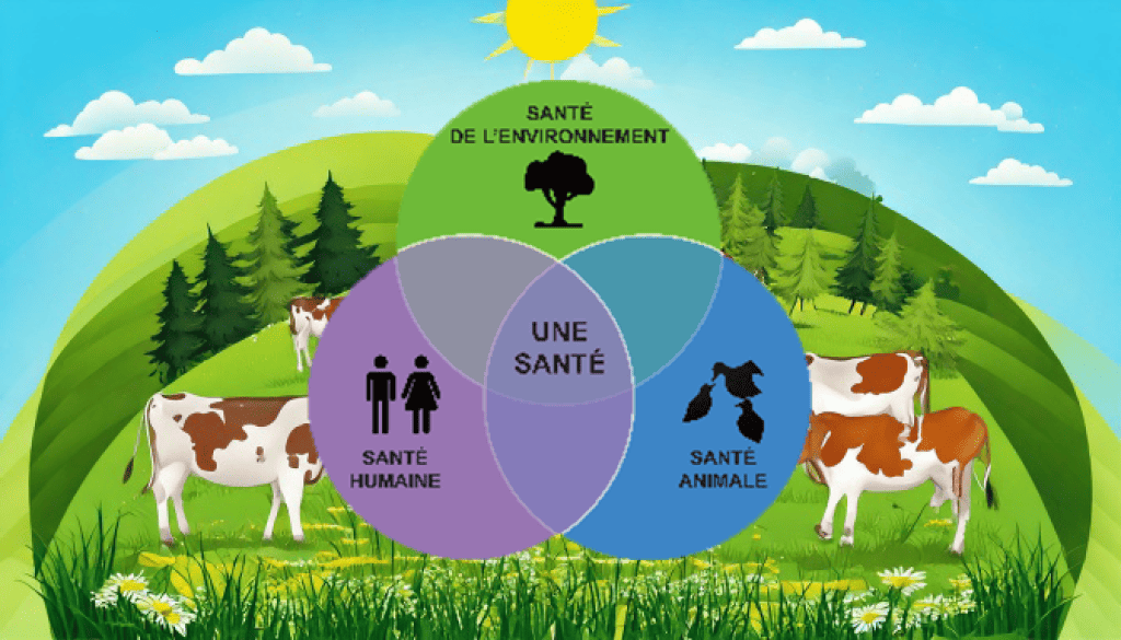 Bannière visuelle de présentation de la formation