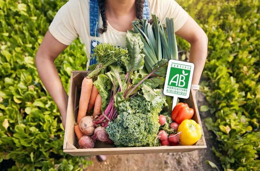 Bannière visuelle de présentation de la formation