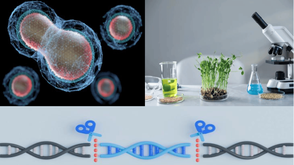 Bannière visuelle de présentation de la formation