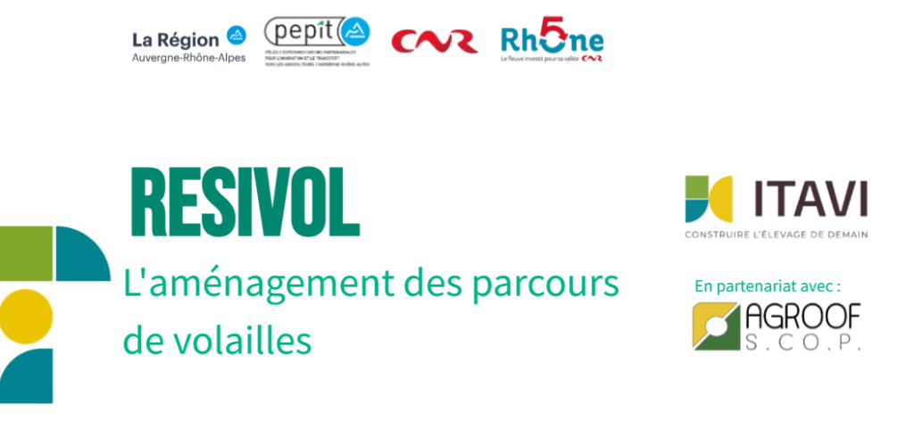 Bannière visuelle de présentation de la formation