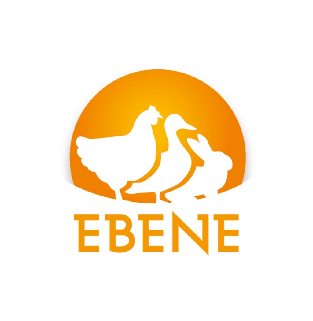 Bannière visuelle de présentation de la formation