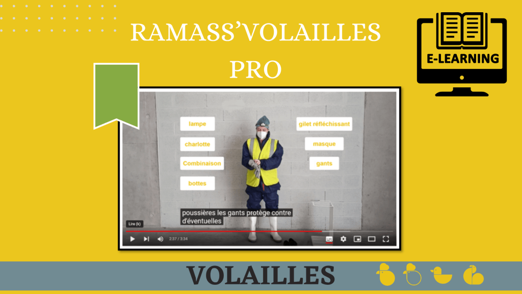Bannière visuelle de présentation de la formation