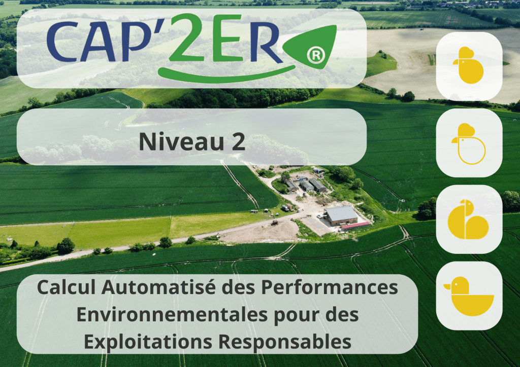 Bannière visuelle de présentation de la formation