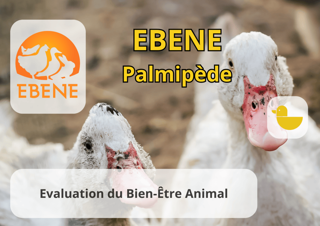 Bannière visuelle de présentation de la formation