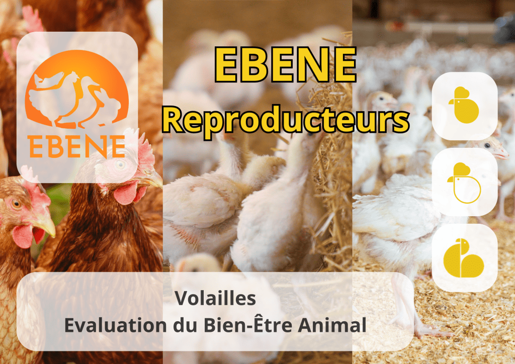 Bannière visuelle de présentation de la formation