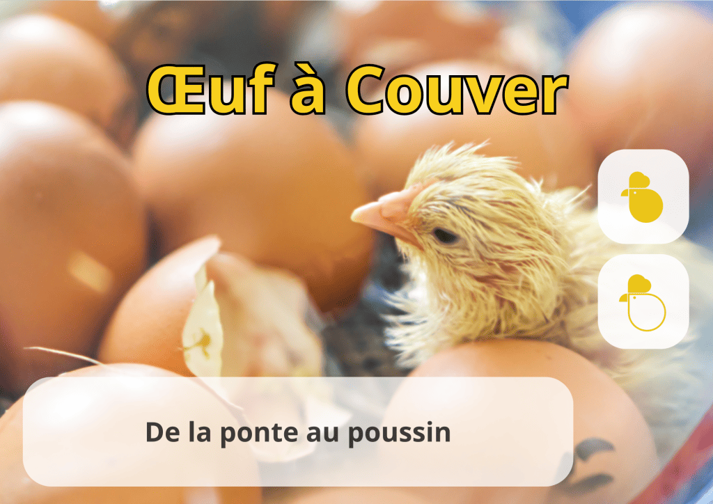 Bannière visuelle de présentation de la formation