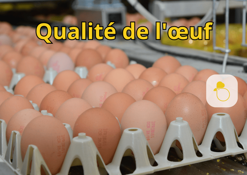 Bannière visuelle de présentation de la formation