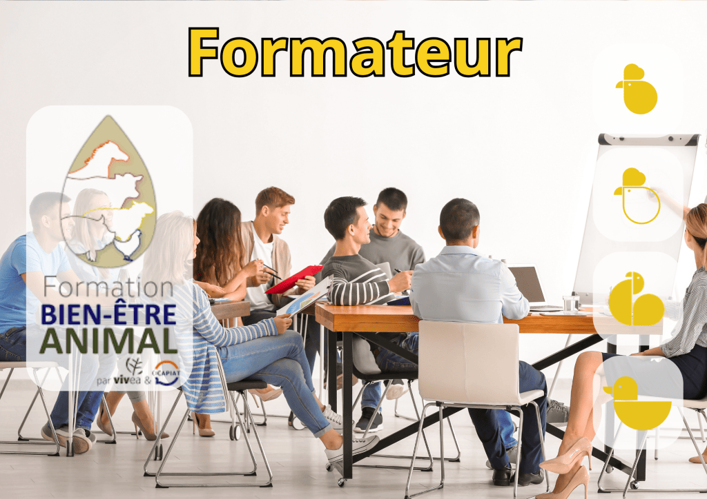 Bannière visuelle de présentation de la formation