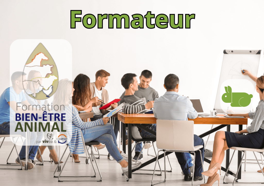 Bannière visuelle de présentation de la formation