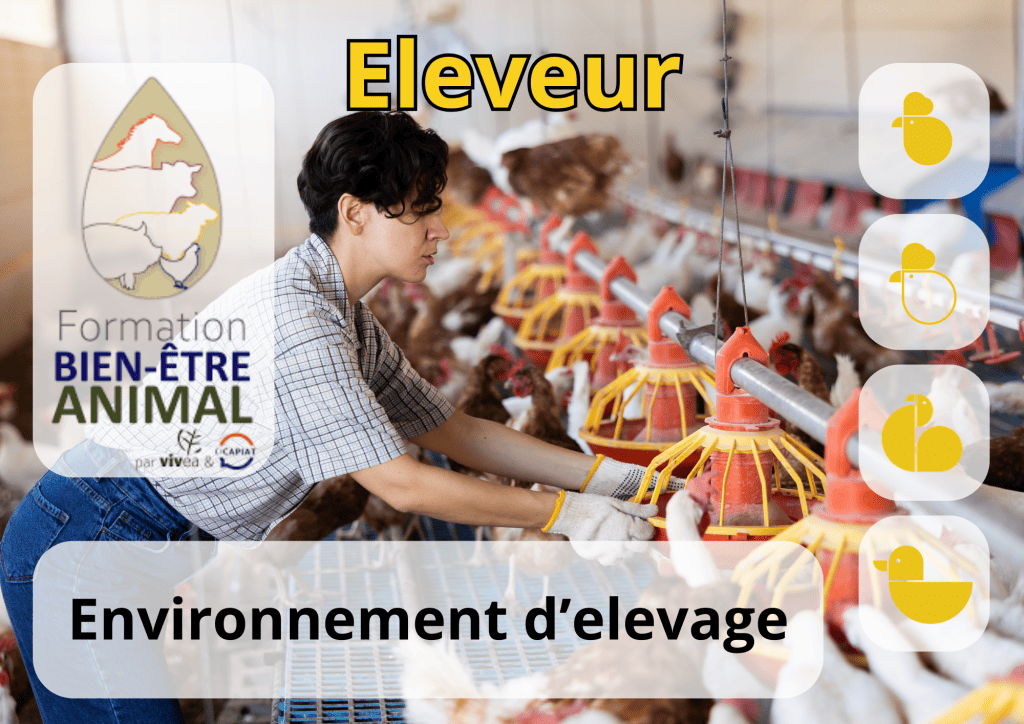 Bannière visuelle de présentation de la formation