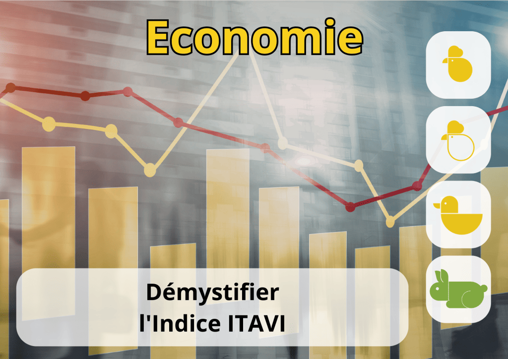 Bannière visuelle de présentation de la formation