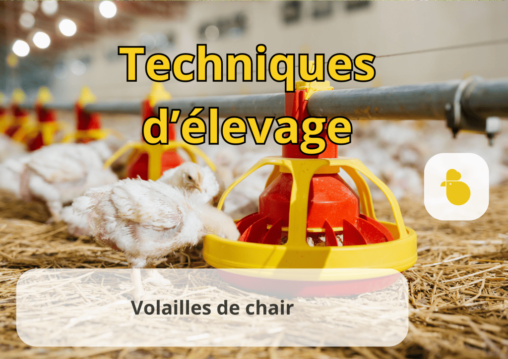 Bannière visuelle de présentation de la formation