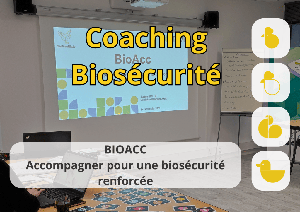 Bannière visuelle de présentation de la formation