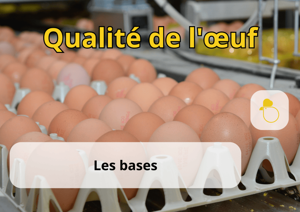Bannière visuelle de présentation de la formation
