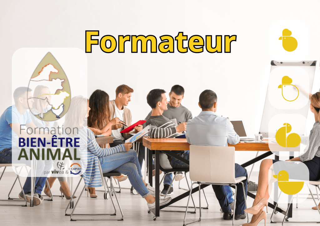 Bannière visuelle de présentation de la formation