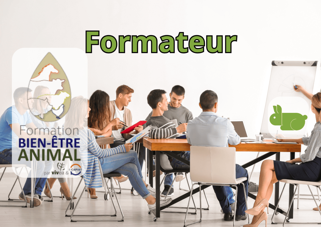 Bannière visuelle de présentation de la formation