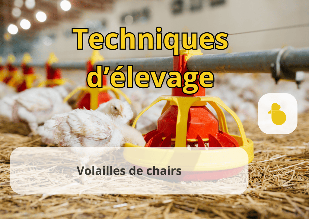 Bannière visuelle de présentation de la formation