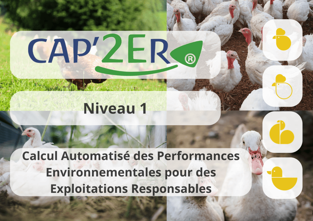 Bannière visuelle de présentation de la formation