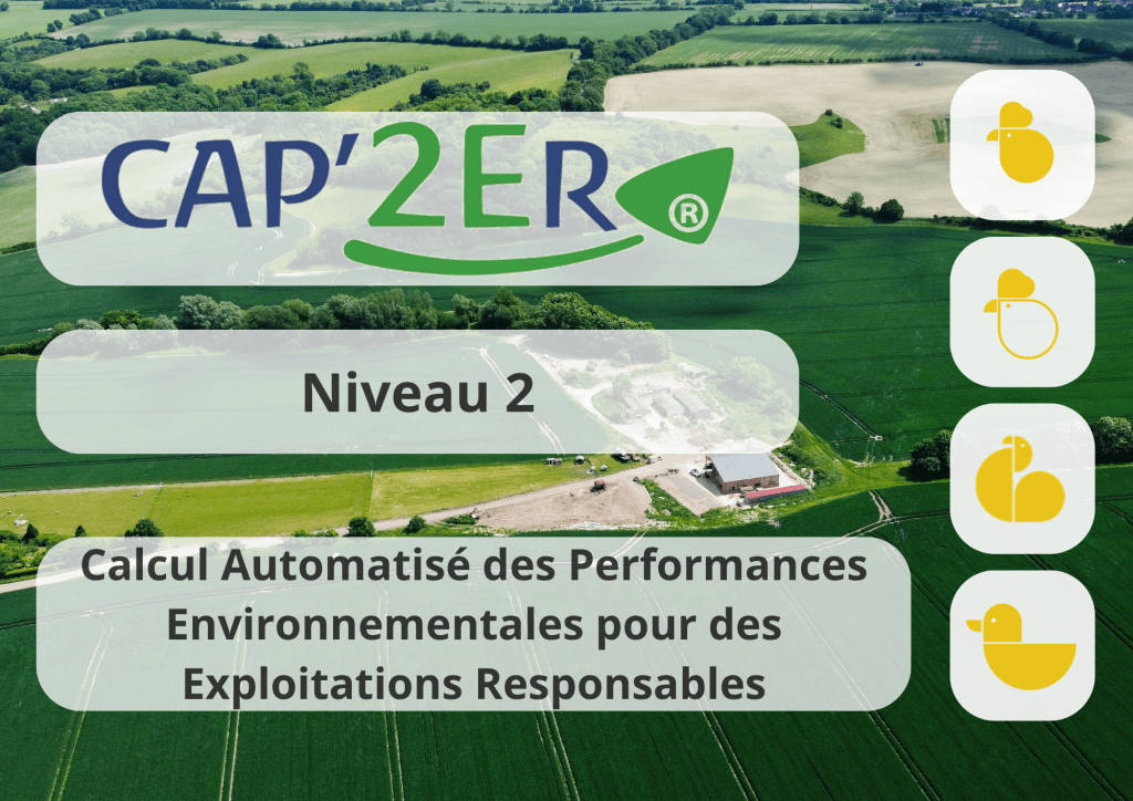 Bannière visuelle de présentation de la formation