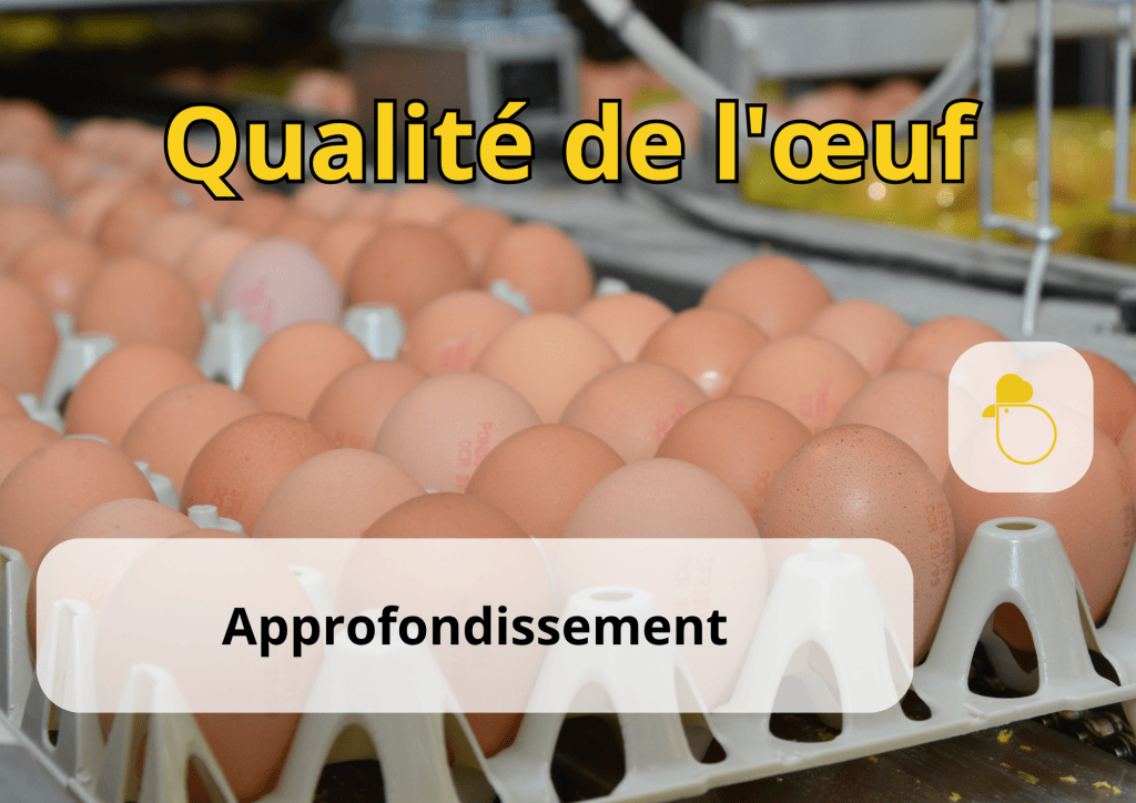Bannière visuelle de présentation de la formation